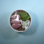 レンジ合鴨そば レンジ合鴨そば